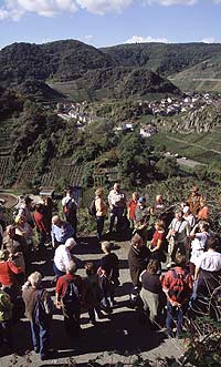 Wanderung Rotweinwanderweg