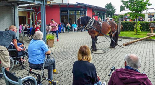 Hengst Nalu begeisterte die Zuschauer im Haus Am Konradsberg. Fotos: HBW/F. Jansen